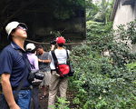 南崁育幼院废置宿舍 展现无限生态生机