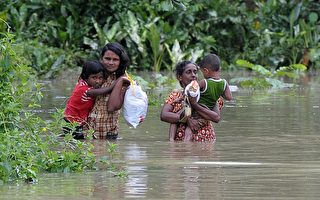 斯里兰卡暴雨11万人无家可归