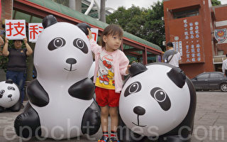 中州科大熊猫毕展  大玩偶抱抱