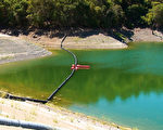 受干旱气候影响，圣塔克拉拉县的阿尔马登水库的储水量，目前是正常年份水位的三分之一。（林骁然/大纪元）