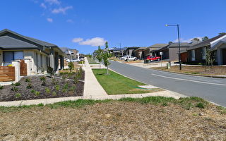 悉尼房價數據下跌 房產經紀存爭議