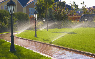 美国加州宣布强制限水 违者每天罚500元