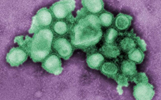 日裔科學家製出超級H1N1病毒 外界憂外洩