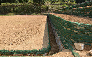 砌石生態工法  防雨沖刷茶園