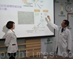 彰基發表粒線體治療技術 可改善巴金森氏症