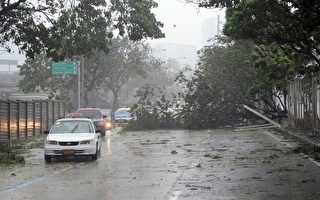 台风袭菲38死 数百万人断电