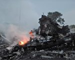 德新社： MH17坠毁关键问题 问与答