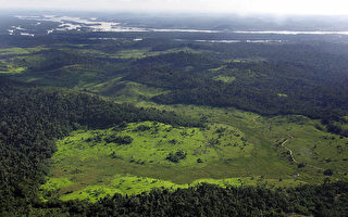 顛覆認知 亞馬遜雨林現2500年前「花園古城」