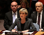 UN安理會一致通過澳洲MH17空難調查提案
