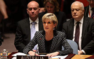 UN安理會一致通過澳洲MH17空難調查提案