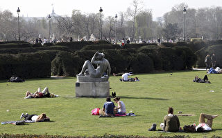 巴黎有6百万只老鼠 光天化日逛公园