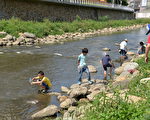 平鎮市老街溪親水夏令營