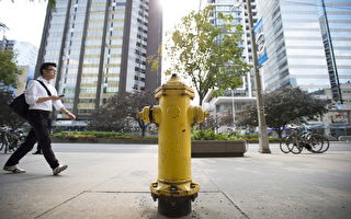 消防栓成多伦多停车罚款摇钱树