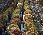 组图：哥伦比亚鲜花节游行热闹缤纷
