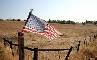 美国加州大旱 影响全球农产品市场