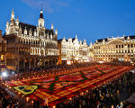组图：比利时两年一次花毯节缤纷登场