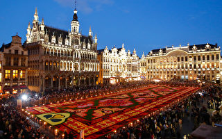 組圖：比利時兩年一次花毯節繽紛登場