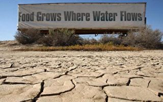 加州干旱影响全球農產品市场