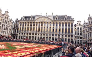 全球最大花毯之一 比利時鮮花迎嘉賓