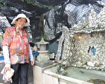廢棄物變藝術品 81歲阿嬷展創意