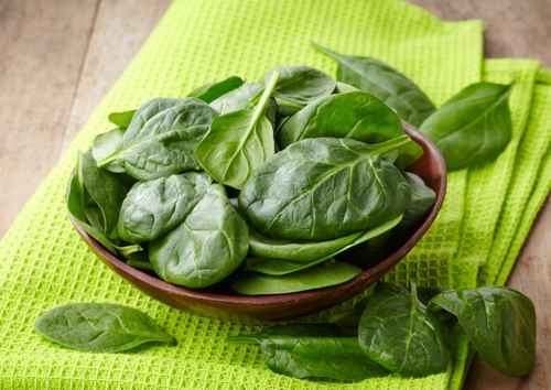 味甘性凉,能润燥养肝,益肠胃,通便秘。(fotolia) 味甘性凉,能润燥养肝,益肠胃,通便秘。(fotolia)