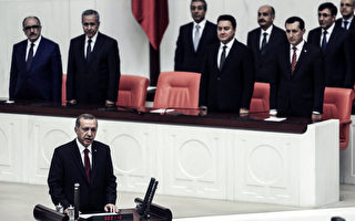 艾尔段宣誓就任土耳其总统