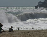 颶風瑪麗給海豹灘帶來大浪（張文剛/大紀元）