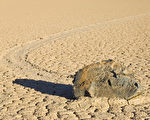 在美國加州死亡谷（Death Valley）國家公園，會看到那裏的石頭自己懂得在茫茫沙漠上「走路」，留下一道道長長的印跡，成為自然一大奇景。（fotolia）