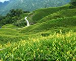 心底无私天地宽