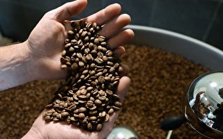 拉美9國咖啡出口降3.24%