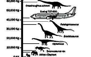 迄今最大恐龙化石被发现 体重超737客机