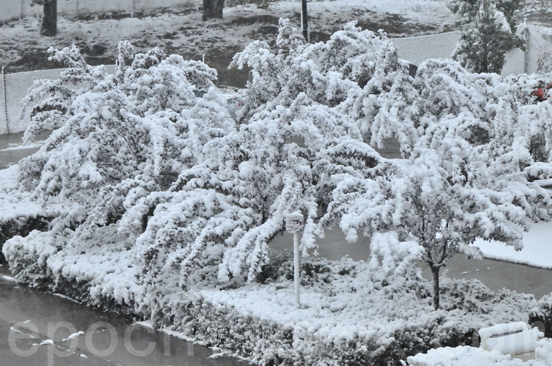 赏雪季节 黒龙江雪乡酒店价格暴涨 遭吐槽