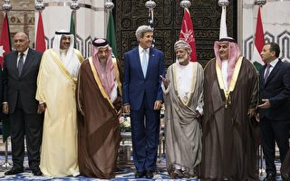阿拉伯10国外长：国际反恐加我一份