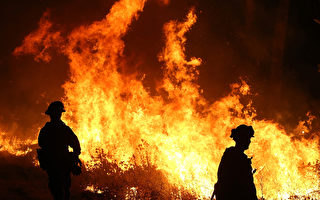 王森林野火灾情惨重 烧过七万英亩