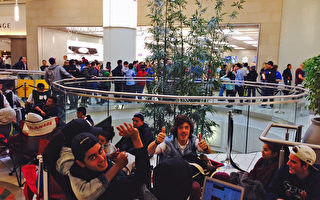 iPhone6大溫熱賣 iPhone6 Plus開店搶購一空