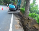 集集绿色隧道路灯施工粗糙伤及樟树根系，引发地方爱树团体强力抨击。（集集镇公所提供）