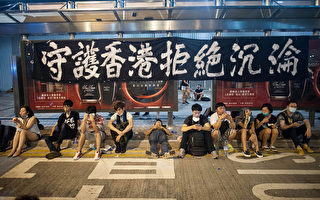 美媒：全球各地集会支持香港民主抗议