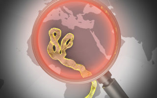 紐約確診首例埃博拉病例 病人已被隔離