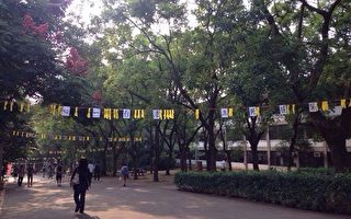 香港爭民主 台中大學生力挺