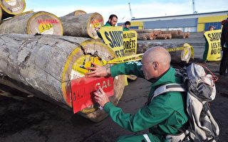 法国年出口百万立米原木给中国 伐木工抗议