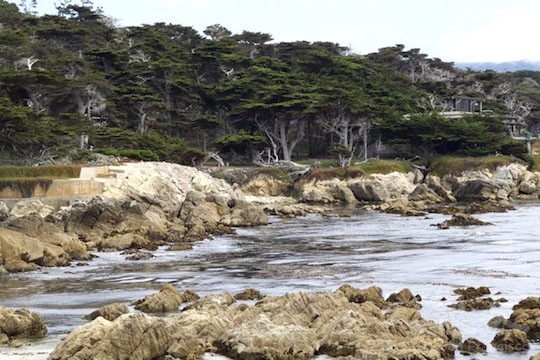 岸邊松林(地圖上的景點20)(王文藝/大紀元) 岸邊松林(地圖上的景點20)(王文藝/大紀元)