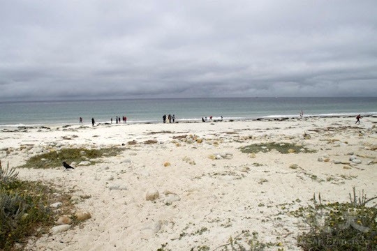 白沙灘海岸(地圖上的景點5)(王文藝/大紀元) 白沙灘海岸(地圖上的景點5)(王文藝/大紀元)