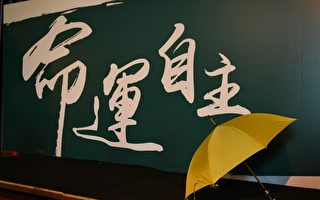 苦膽：香港之香——「雨傘運動」繫懷