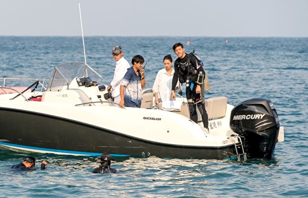 海面下有水母群。(三立提供) 海面下有水母群。(三立提供)