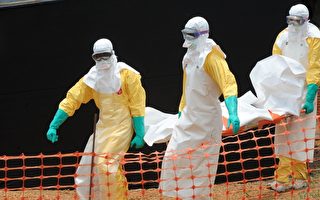 專家籲美擔當大國責任應對埃博拉