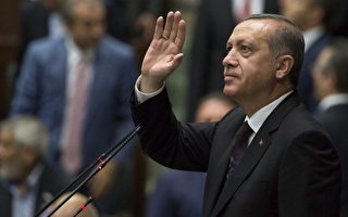 土耳其总统称“男女平等违人性”引争议