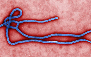 防埃博拉 加州19人列入觀察