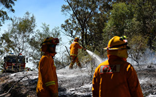 澳紐省藍山森林大火被控制 一住宅被毀