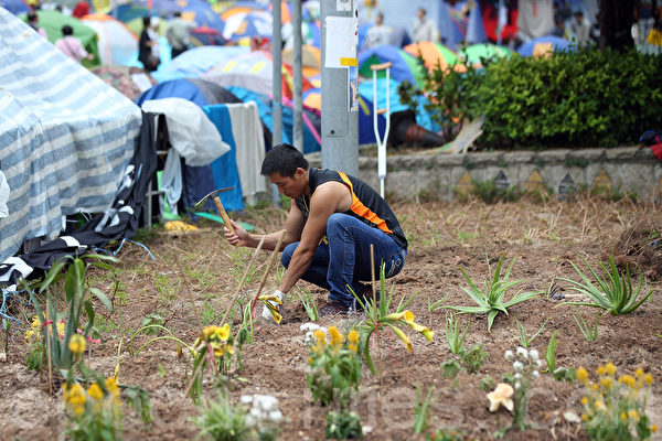 11月3日,香港雨傘運動進入第37天,金鐘的雨傘廣場除了帳篷林立外,香港人的創意也發揮的淋漓盡致,充分表達真普選的訴求。(潘在殊/大紀元) 11月3日,香港雨傘運動進入第37天,金鐘的雨傘廣場除了帳篷林立外,香港人的創意也發揮的淋漓盡致,充分表達真普選的訴求。(潘在殊/大紀元)