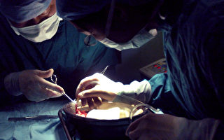 中共軍醫院器官移植「奇蹟」引國際關注